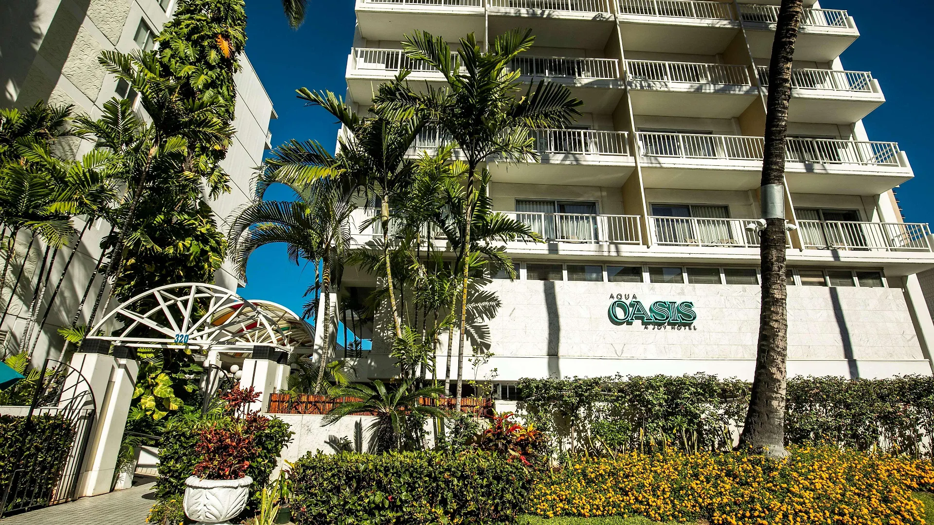 Oasis Hotel Waikiki Honolulu